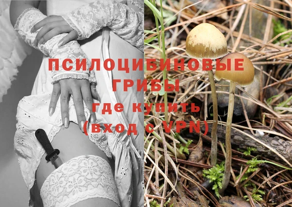 бошки Волосово