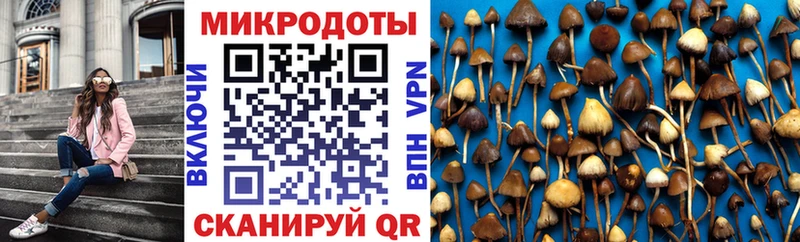 Псилоцибиновые грибы GOLDEN TEACHER  Купить  Киреевск 