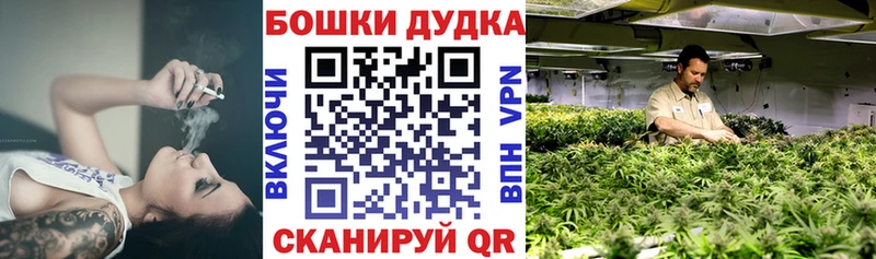 Шишки марихуана THC 21%  Купить где  Киреевск 
